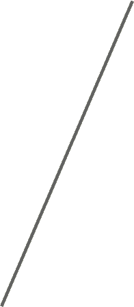 item19